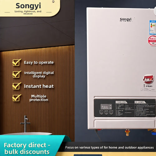 10L LPG Gas Water Heater – Constant Temp, Forced Ventilation, Outdoor