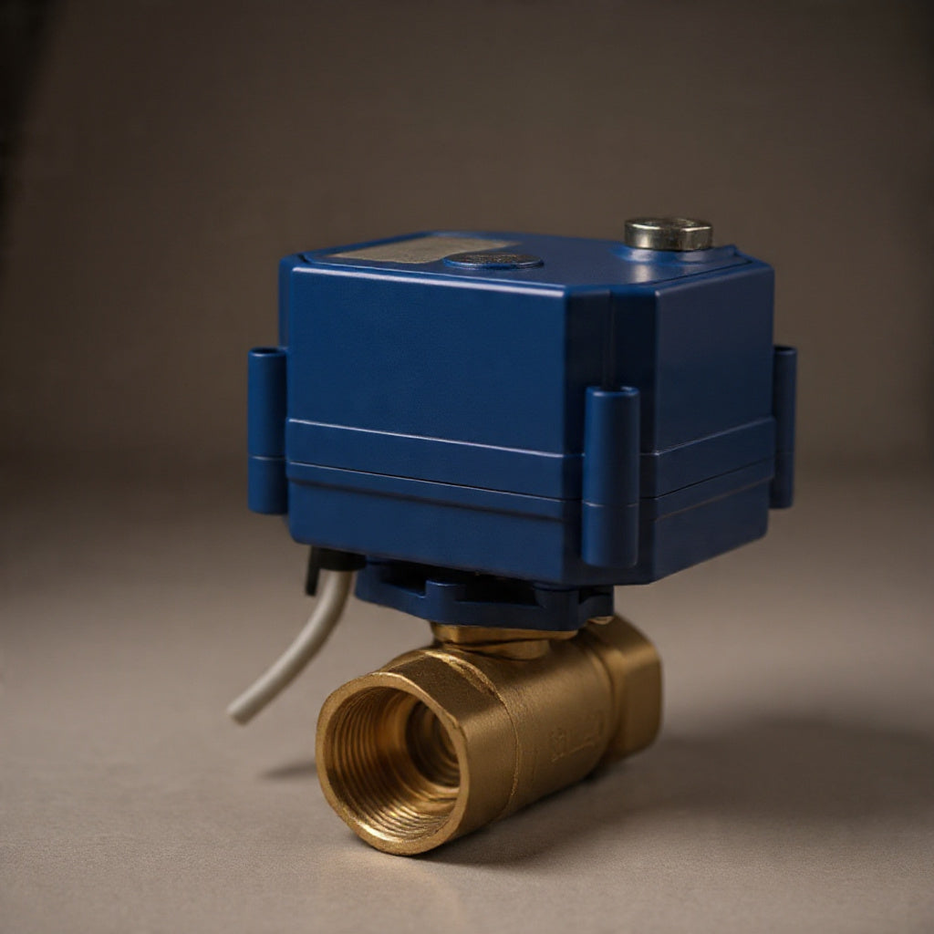 2-Way Motorized Brass Ball Valve – AC220V