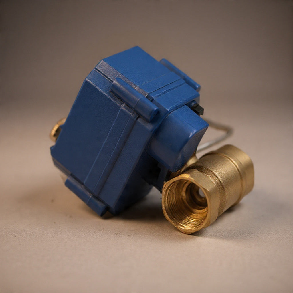 2-Way Motorized Brass Ball Valve – AC220V