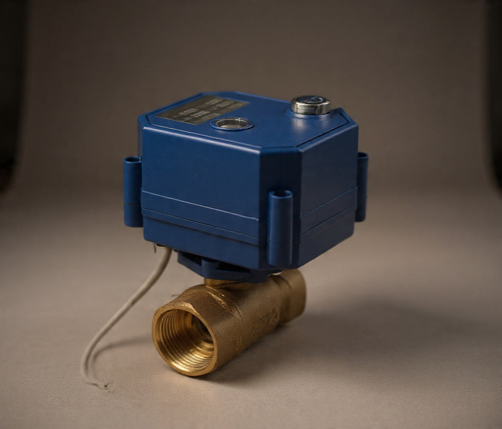 2-Way Motorized Brass Ball Valve – AC220V