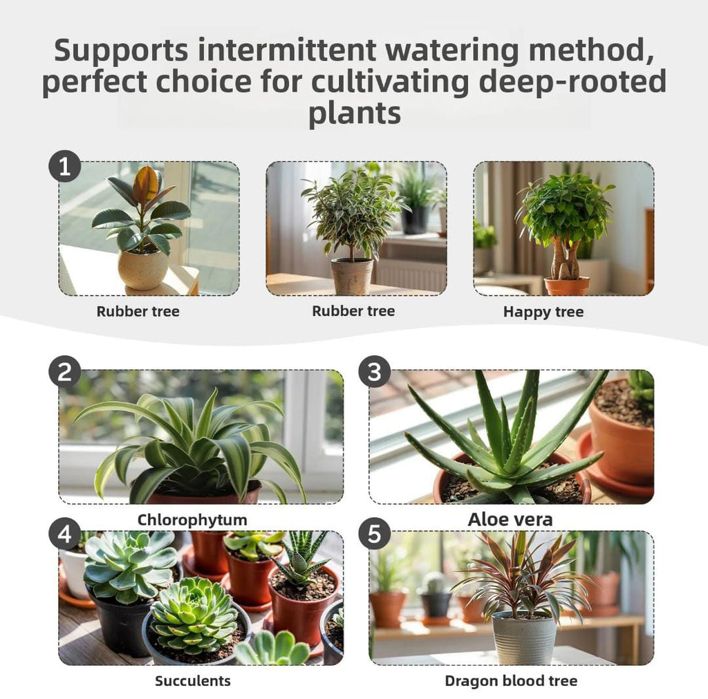 WiFi water timer for indoor plants