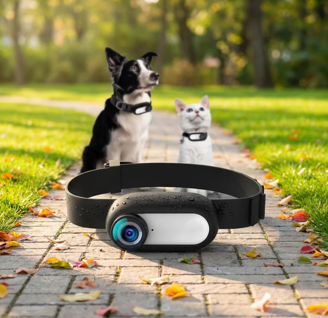 Action Body CAM For Pets