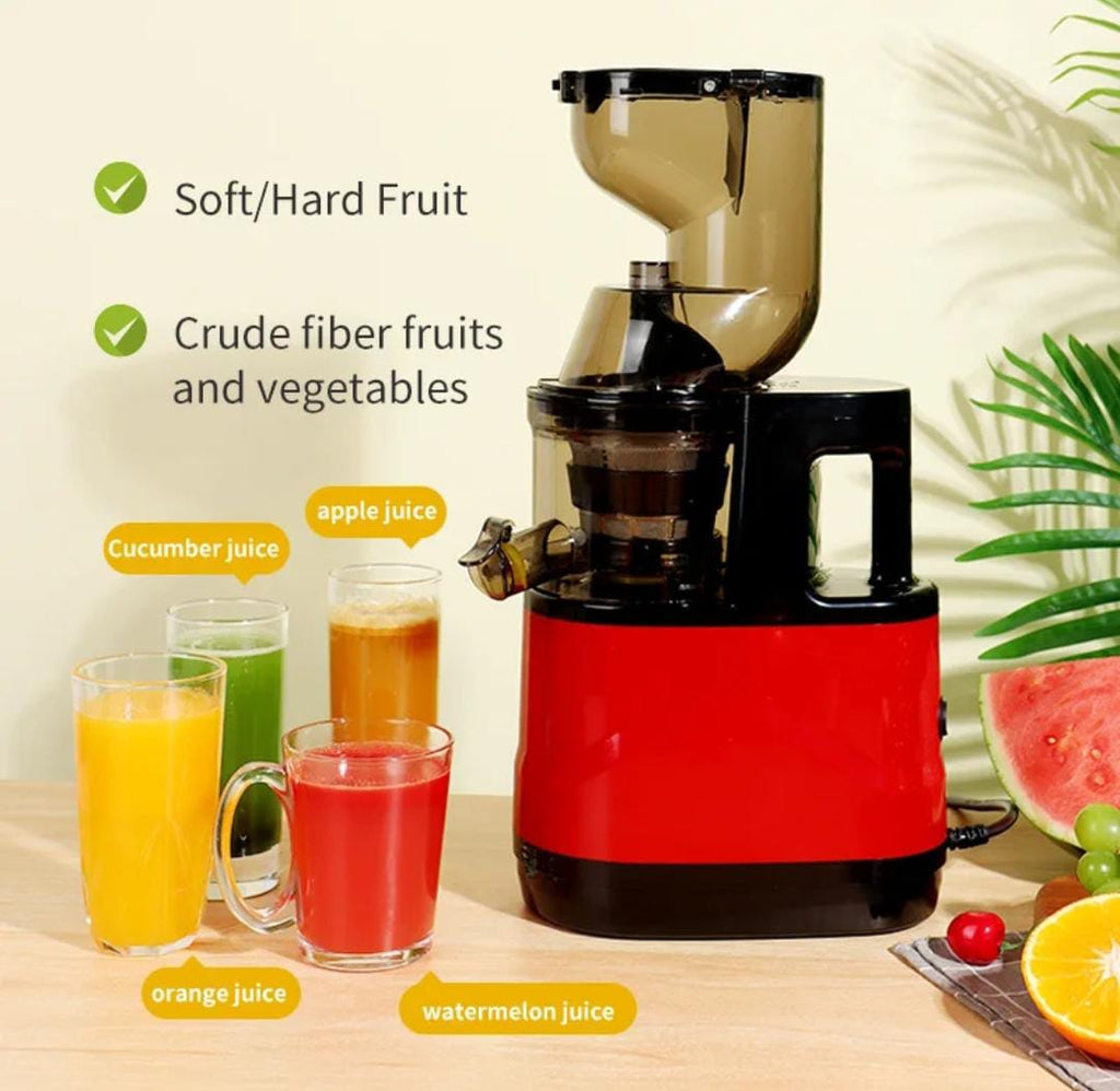 Professional Slow Juicer For Soft And Hard Fruits