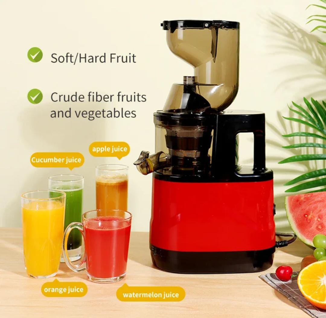 Professional Slow Juicer For Soft And Hard Fruits