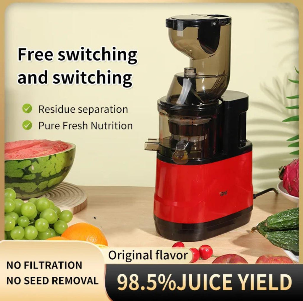 Professional Slow Juicer For Soft And Hard Fruits