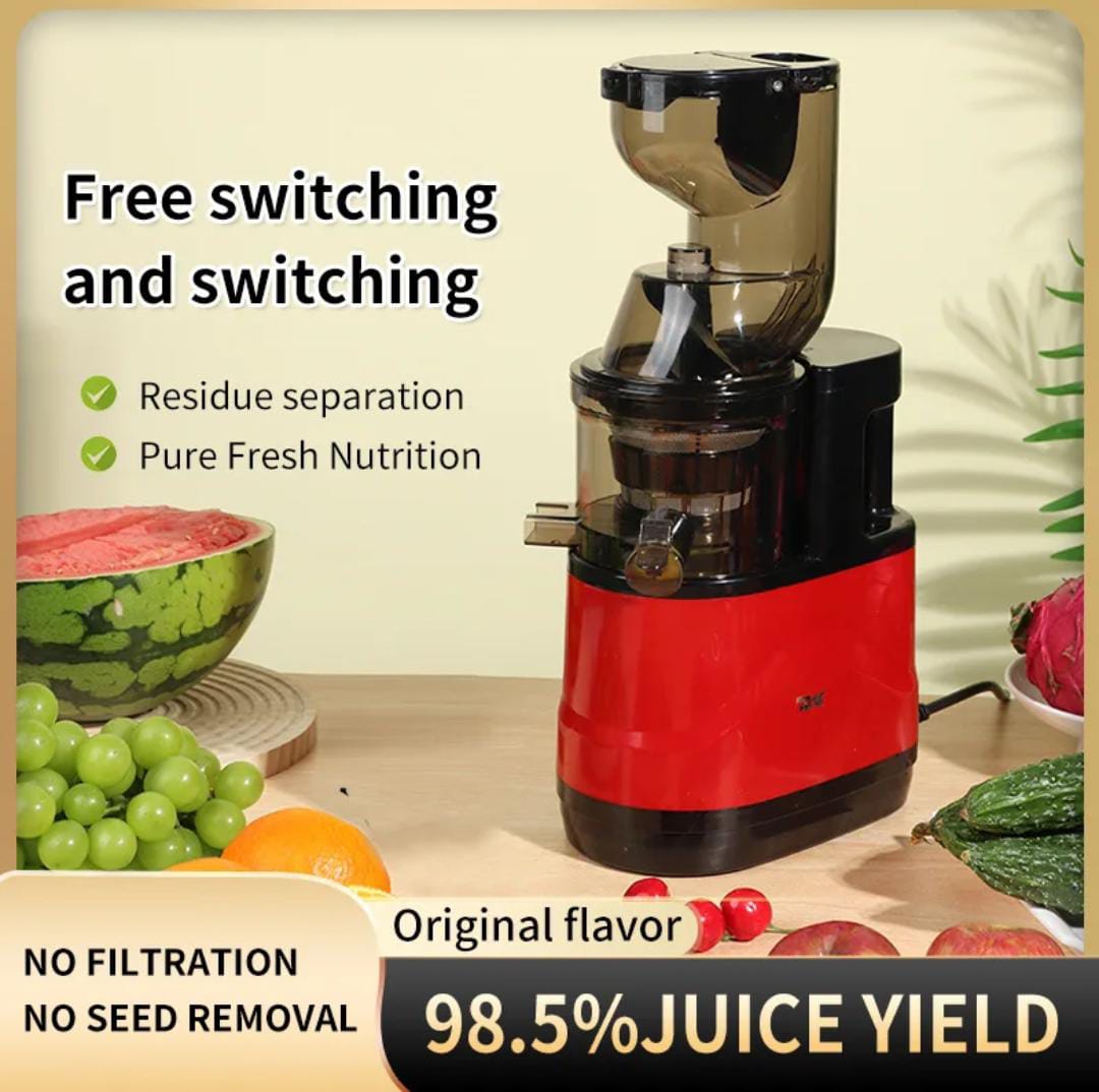 Professional Slow Juicer For Soft And Hard Fruits