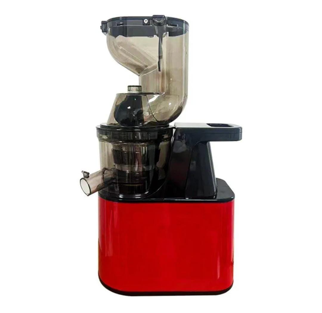 Professional Slow Juicer For Soft And Hard Fruits