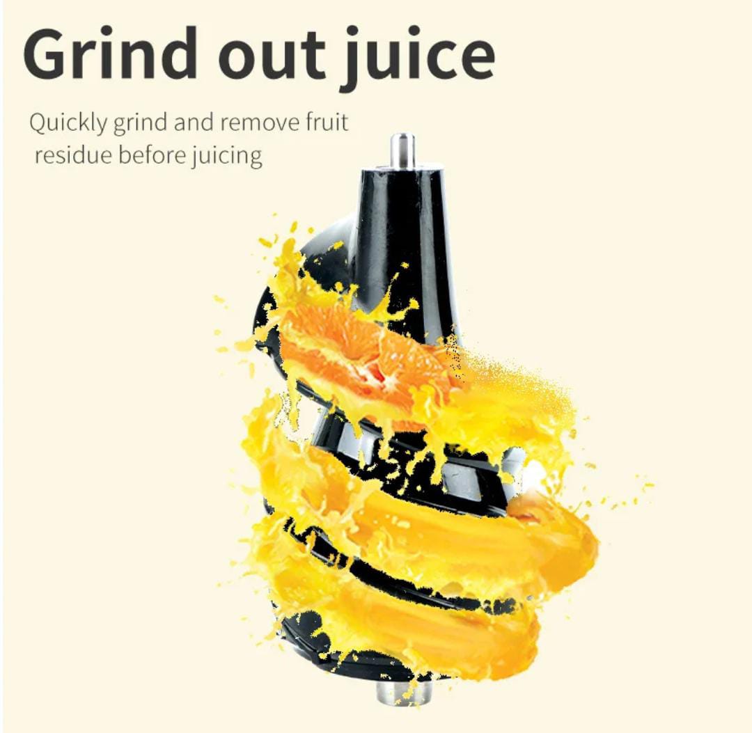 Professional Slow Juicer For Soft And Hard Fruits
