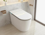 Smart Toilet Bidet