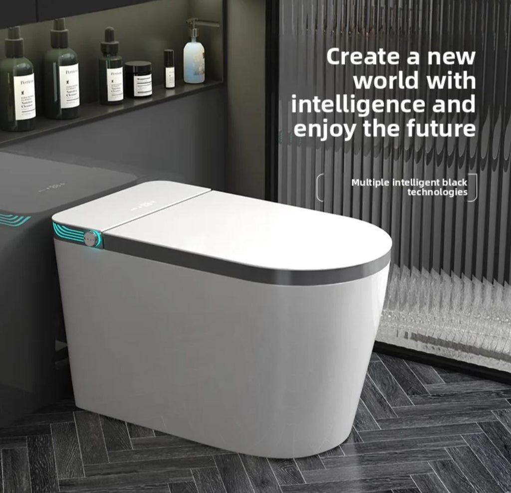 Smart Toilet Bidet