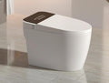 Water Closet Electric Bidet Toilet