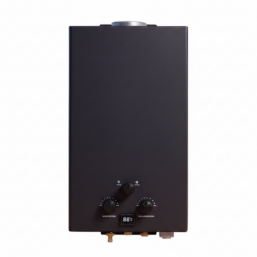 10L Instant LPG Gas Geyser – Stainless Steel, RV & Outdoor